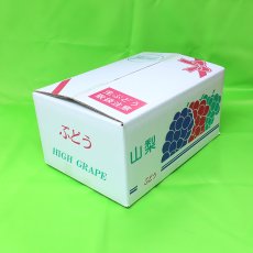 画像2: 露地栽培シャインマスカット　2房（1,200g以上） (2)