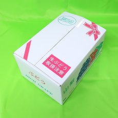 画像4: 露地栽培シャインマスカット　2房（1,200g以上） (4)