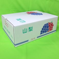 画像2: 露地栽培シャインマスカット　4房（2,400g以上） (2)