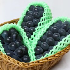 画像2: 巨峰　種無し　4〜5房（2,000g以上） (2)