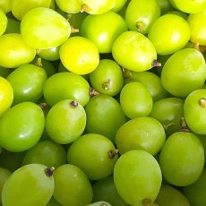 画像1: 訳あり）シャインマスカット　房無しバラ（2,000g） (1)