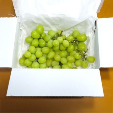 画像3: 訳あり）シャインマスカット　房無しバラ（2,000g） (3)