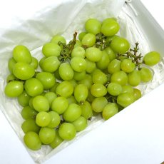 画像4: 訳あり）シャインマスカット　房無しバラ（2,000g） (4)