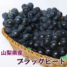 画像1: ブラックビート　種無し　5〜7房（3,000g以上） (1)